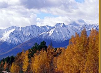 Участок на продажу, 20 сот., село Курумкан