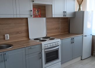 Сдам 1-комнатную квартиру, 40 м2, село Михайловка, Сливовая улица, 2