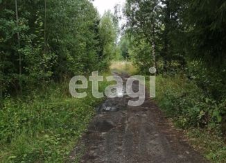 Продажа земельного участка, 15 сот., деревня Кисельня