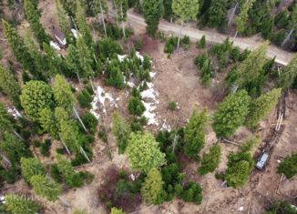 Участок на продажу, 15 сот., деревня Казанка, Сосновая улица, 25