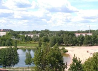 Продаю 2-комнатную квартиру, 65 м2, Нижний Новгород, Молодёжный проспект, 35, Молодёжный проспект