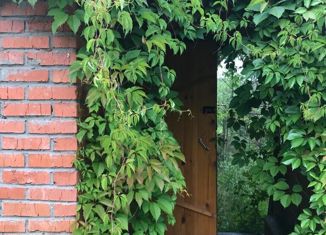 Продаю дом, 70 м2, деревня Алкино, Почтовая улица