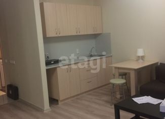 Продам квартиру студию, 31.1 м2, Екатеринбург, улица Куйбышева, 159А, улица Куйбышева