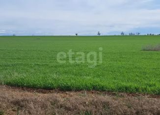 Продам земельный участок, 213.6 сот., село Орехово