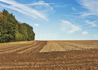 Продаю участок, 2600 сот., село Новодевица