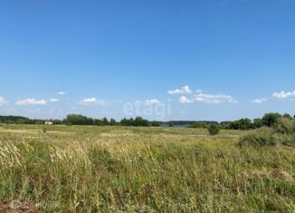 Продается земельный участок, 20 сот., село Большая Талинка, улица Ворошилова