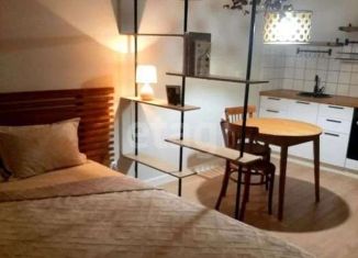 Сдача в аренду квартиры студии, 28 м2, Новосибирск, улица Ошанина, 5, улица Ошанина