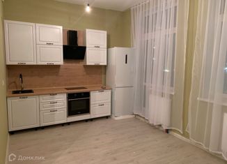 Квартира в аренду студия, 28 м2, Мурино, Ручьёвский проспект, 15, ЖК Айди Мурино