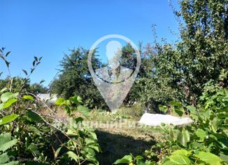 Дом на продажу, 40 м2, село Дядьково, Центральная улица