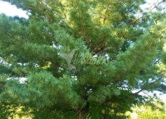 Продаю дом, 30 м2, поселок Боец Кузнецов