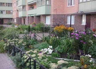 Сдаю квартиру студию, 26 м2, посёлок Шушары, Первомайская улица, 5к1