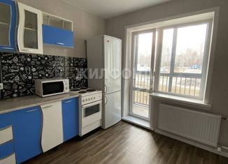Продажа однокомнатной квартиры, 36.7 м2, Новосибирская область, микрорайон Околица, 2