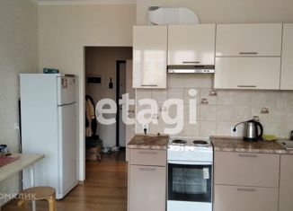 Продажа квартиры студии, 24.7 м2, Санкт-Петербург, Среднерогатская улица, 20, метро Звёздная