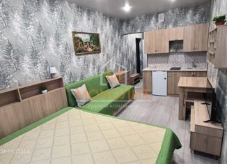 Продам квартиру студию, 23.1 м2, Горячий Ключ, Рябиновая улица, 2Вк2