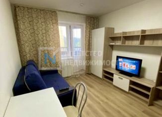 Продам квартиру студию, 21 м2, Санкт-Петербург, Советский проспект, 2, метро Рыбацкое