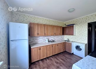1-комнатная квартира в аренду, 40 м2, Санкт-Петербург, Калининский район, проспект Науки, 79к3