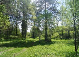 Продажа участка, 170 сот., село Верх-Бийск, улица Заимка Кузенская