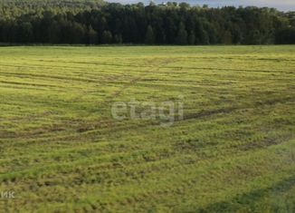 Продам участок, 10 сот., деревня Ясная Поляна