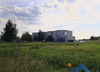 Продаю земельный участок, 30 сот., село Спас-Виталий