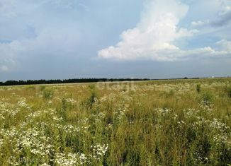 Земельный участок на продажу, 10 сот., село Теменичи, Молодёжная улица