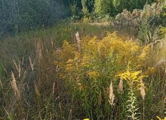 Продажа земельного участка, 750 сот., село Шелокша, Центральная улица