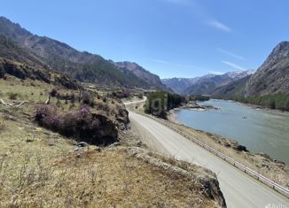 Продам земельный участок, 249.8 сот., село Чемал, Советская улица