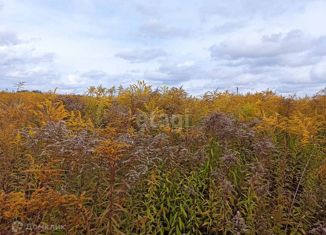 Продаю земельный участок, 14 сот., село Елисеевичи