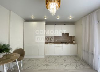 Продам 1-комнатную квартиру, 46 м2, деревня Киселёвка, Изумрудная улица, 8