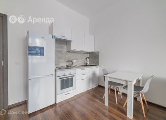 Аренда квартиры студии, 28 м2, Санкт-Петербург, улица Александра Матросова, 3, муниципальный округ Сампсониевское