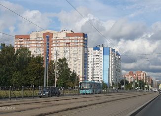 Продаю двухкомнатную квартиру, 59.5 м2, Санкт-Петербург, Товарищеский проспект, 32к1, муниципальный округ Оккервиль