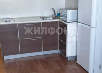 Продажа квартиры студии, 25 м2, Новосибирск, улица Бориса Богаткова, 208/3, улица Бориса Богаткова