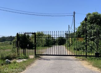 Продается участок, 6 сот., деревня Голышево, деревня Голышево, 26
