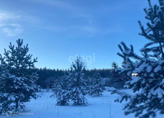 Продается участок, 14 сот., деревня Ялунина