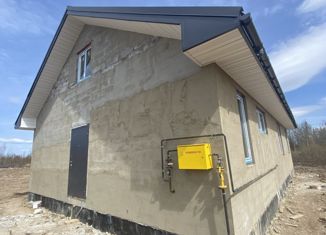 Продается дом, 108 м2, деревня Плетниха, Ильменская улица, 17