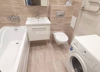 Продается двухкомнатная квартира, 53.6 м2, Новосибирск, улица Ясный Берег, 13, улица Ясный Берег