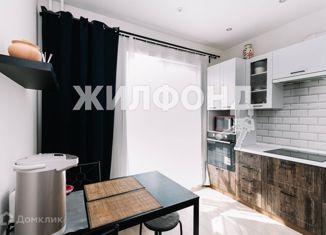 Продажа 1-ком. квартиры, 37 м2, Новосибирск, улица Ясный Берег, 9, улица Ясный Берег