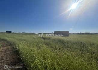 Продам земельный участок, 15 сот., село Береговое, Виноградная улица