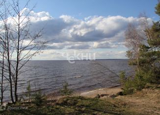 Продаю участок, 10 сот., городской округ Сокольский