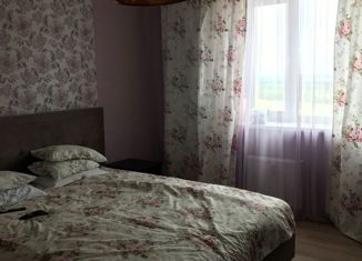 Трехкомнатная квартира на продажу, 82.5 м2, посёлок Парголово, улица Фёдора Абрамова, 23к1, ЖК Северная Долина