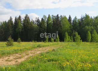 Продажа земельного участка, 32.1 сот., деревня Ерши