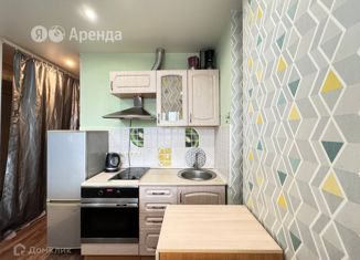 Сдается в аренду квартира студия, 24.5 м2, Новосибирск, улица Костычева, 74/1, ЖК Театральный