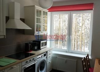 Сдается однокомнатная квартира, 34 м2, Санкт-Петербург, Гладышевский проспект, 38к1, Гладышевский проспект