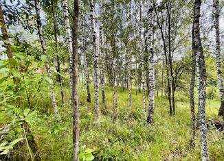 Продаю земельный участок, 10 сот., СНТ Полиграфист