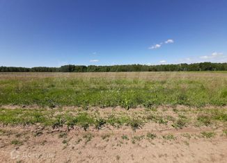 Продается земельный участок, 604 сот., деревня Речкина