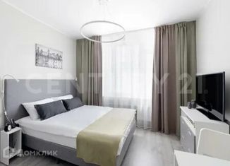 Квартира на продажу студия, 24.1 м2, Санкт-Петербург, Витебский проспект, 101к1, метро Купчино