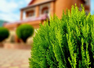 Дом на продажу, 395 м2, поселок Глубокий, улица Островского, 2