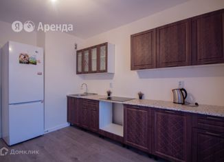 Сдается 1-ком. квартира, 39 м2, Ленинградская область, Гаражный проезд, 23к1