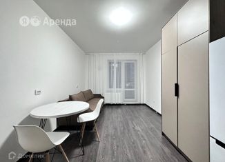 Квартира в аренду студия, 24 м2, Санкт-Петербург, проспект Будённого, 19к2, муниципальный округ Сосновая Поляна