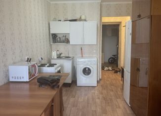 Продается квартира студия, 23 м2, село Зубово, Весенняя улица, 1