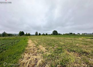 Продам земельный участок, 27 сот., деревня Прудное, деревня Прудное, 8